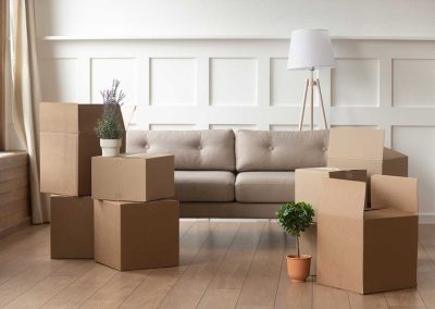 modern house living room with boxes